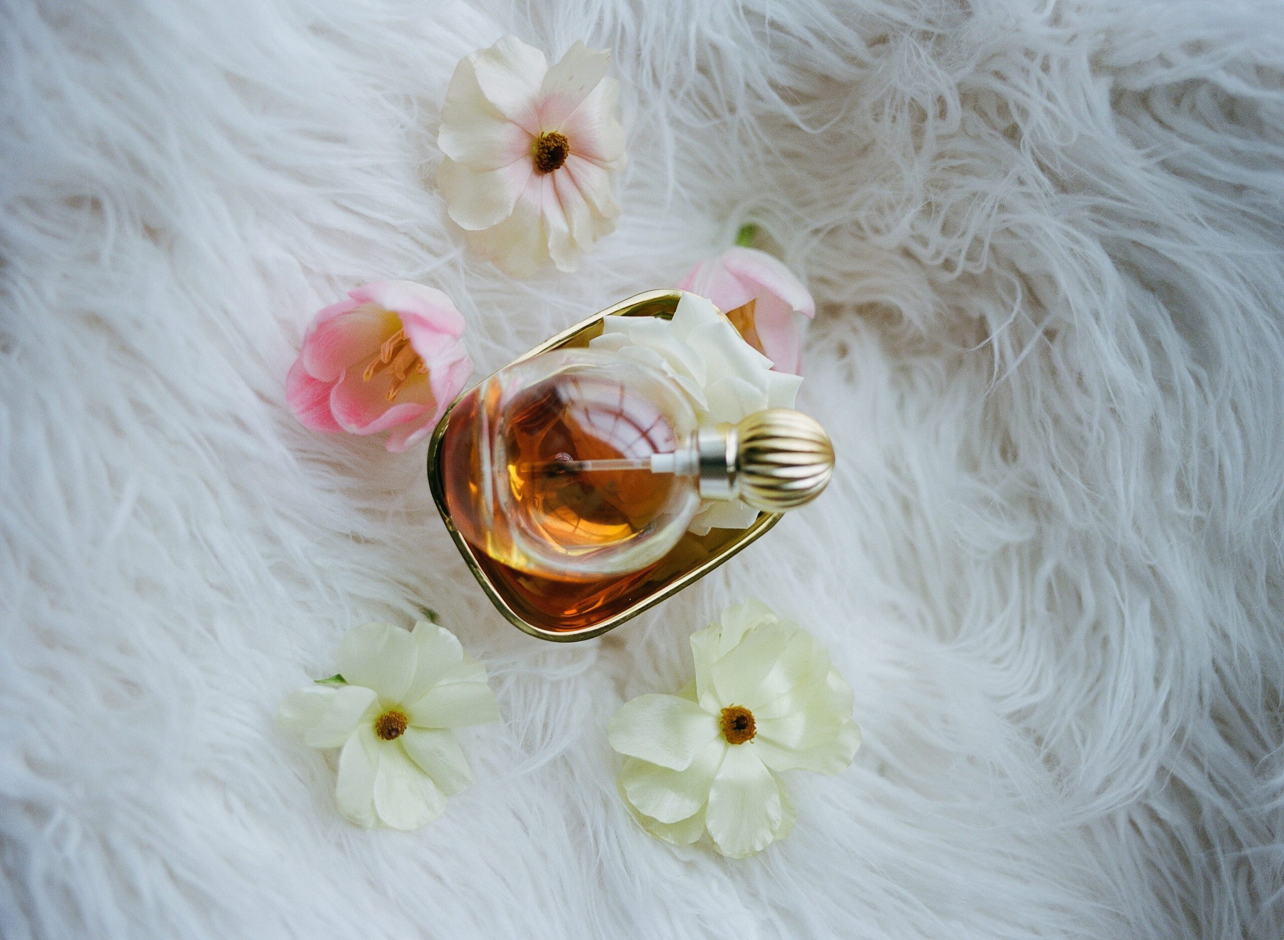A golden bottle of luxury perfume surrounded by soft white and pink flowers on a fluffy white backdrop.
